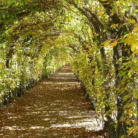 F1 1 - Cour-toise *